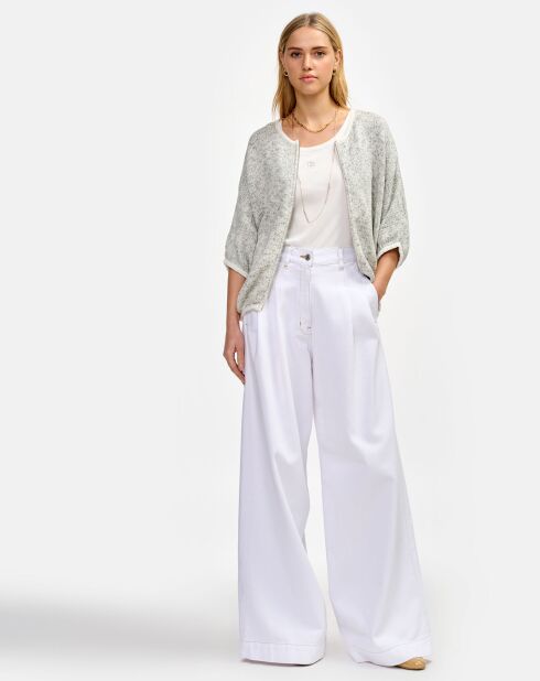 Cardigan Gase antartica