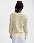 Pull Gopsy stripe c