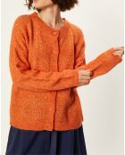Gilet en Mohair & Laine mélangée Vahina abricot
