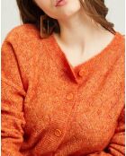 Gilet en Mohair & Laine mélangée Vahina abricot