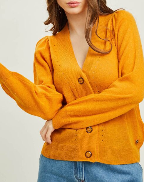 Gilet en Alpaga & Laine mélangés Valentin tournesol