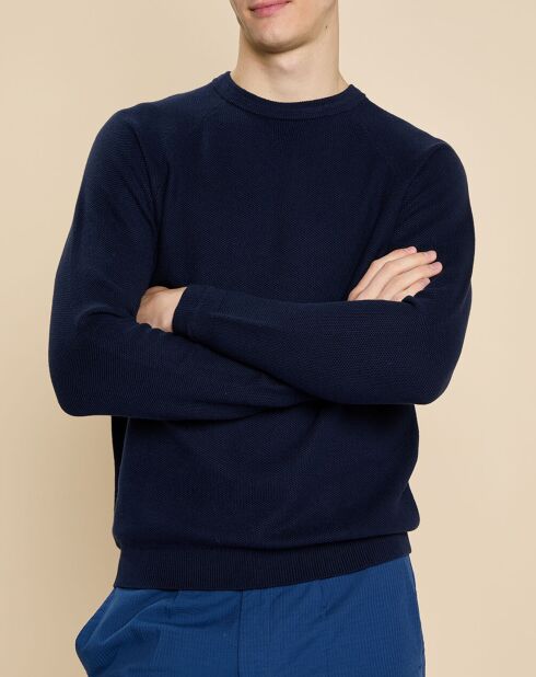 Pull en Coton & Cachemire Gery marine