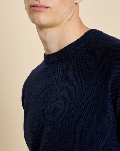 Pull en Coton & Cachemire Gery marine