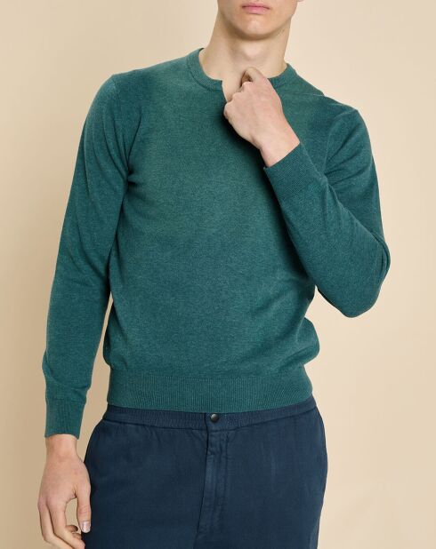 Pull Guillermo fougère chiné