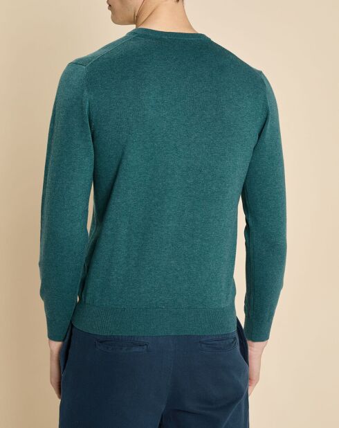 Pull Guillermo fougère chiné