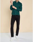 Chemise slim 100% Lin Danny fougère