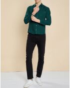 Chemise slim 100% Lin Danny fougère