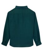 Chemise 100% Lin Danish fougère