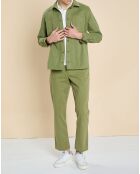 Pantalon chino Dominique olive
