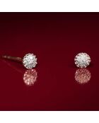 Boucles d'oreilles Round Stud Diamants 0.02 ct or jaune