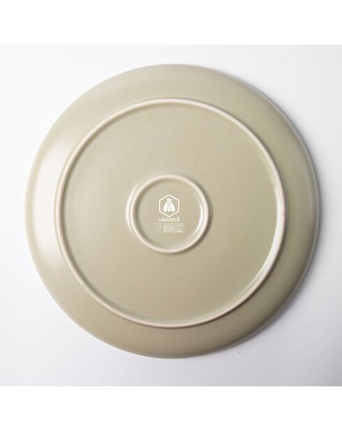 Juego de vajilla de gres reactivo Green Iris - 12 piezas -