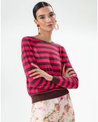 Katzenpullover mit Hibiskus- und Karamellstreifen