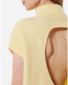 Pull en Laine & Angora mélangés Benson joy