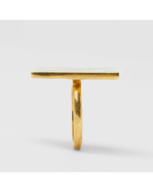 Regenboog gouden groene ring