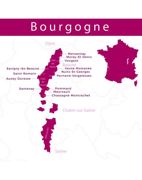 1 Puligny-Montrachet 2023 Dom. de La Choupette 75cl