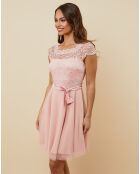 Robe Rose rose