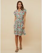 Robe Alicia verte