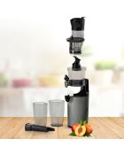 Extracteur de jus Elixir gris - 18.2x16.8x44.3 cm