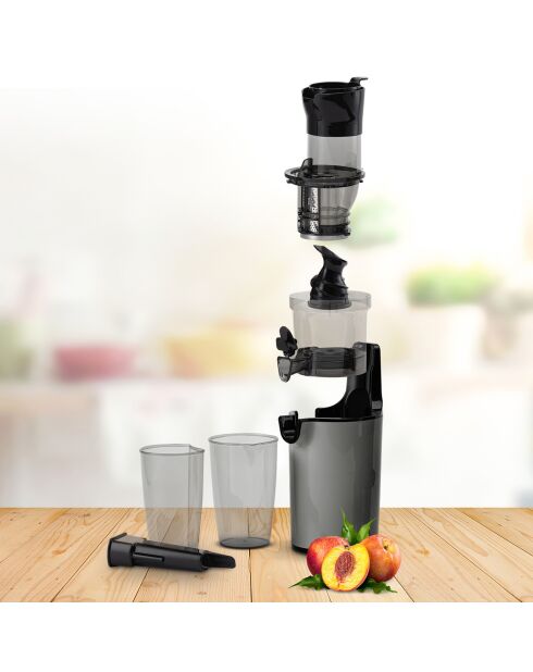 Extracteur de jus Elixir gris - 18.2x16.8x44.3 cm