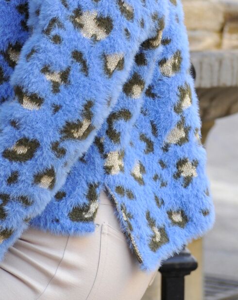 Pull Ada bleu