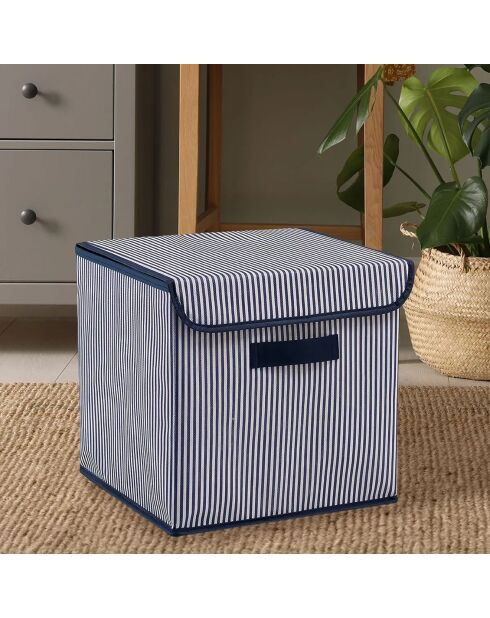 Boite de rangement YLC bleue - 30x30x30 cm