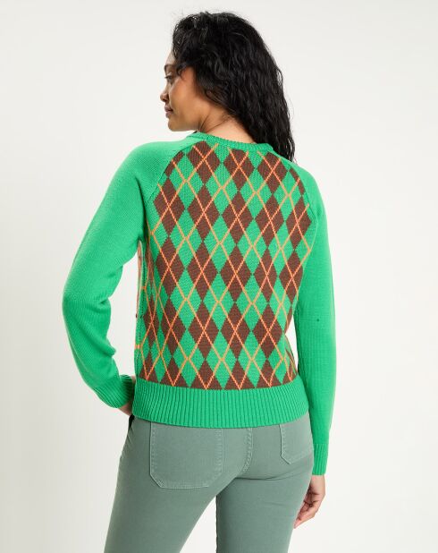 Pull 100% Laine Burlington     vert