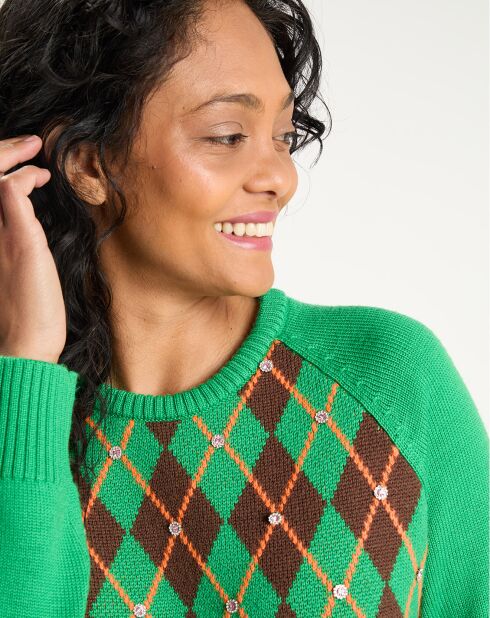 Pull 100% Laine Burlington     vert