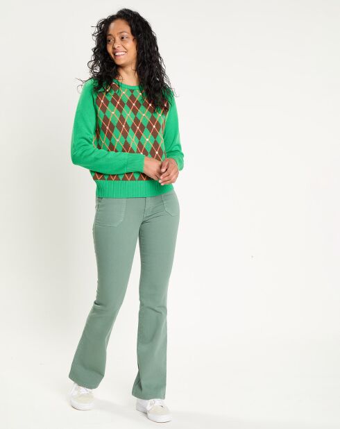 Pull 100% Laine Burlington     vert