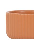 3 Coupelles Sweet Leav multicolore - D.9x5 cm