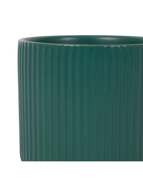 2 Pots Sweet Leav terra/vert