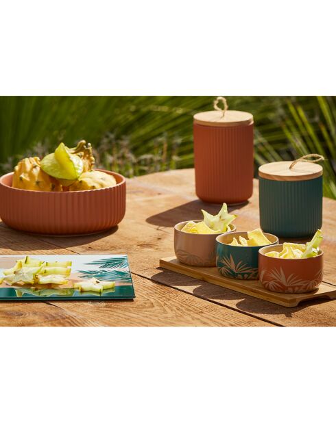 2 Pots Sweet Leav terra/vert