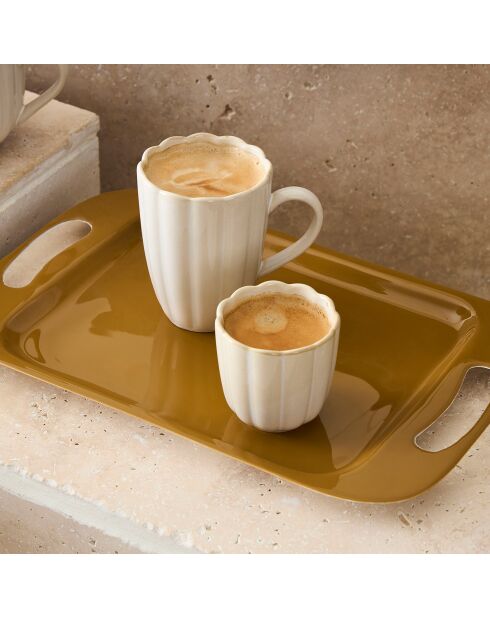 2 Plateaux Pop's naturels