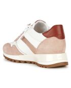 Baskets en Cuir Tabelya nude/blanc
