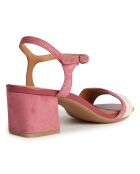 Sandales en Cuir Eraklia cyclamen/nude - Talon 5 cm