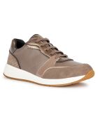 Baskets Bulmya taupe foncé