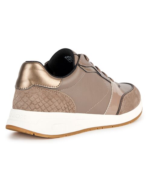 Baskets Bulmya taupe foncé