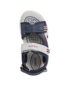 Sandales Alben gris clair/bleu marine