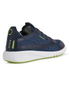 Baskets Aeranter bleu marine/citron