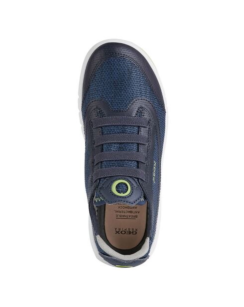 Baskets Aeranter bleu marine/citron