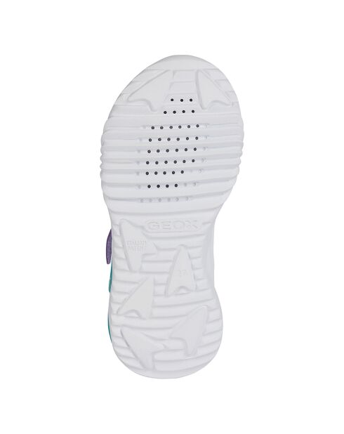 Baskets Assister lilas/watersea