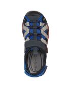 Baskets Borealis bleu royal/rouge