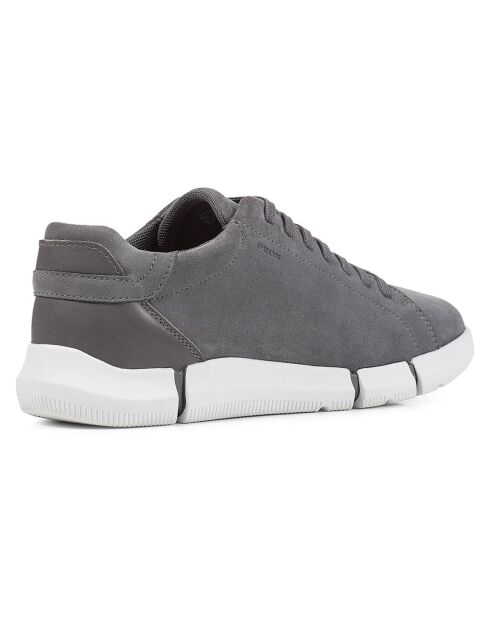 Baskets en Cuir Adacter pierre foncé