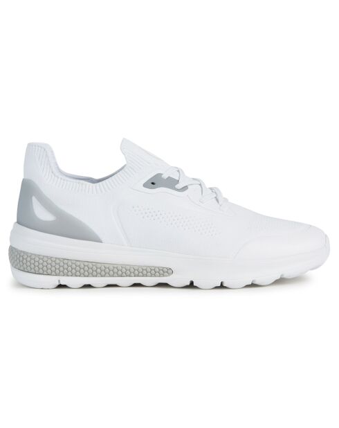 Baskets Spherica blanches