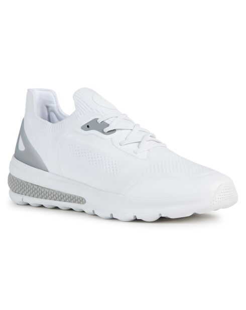 Baskets Spherica blanches
