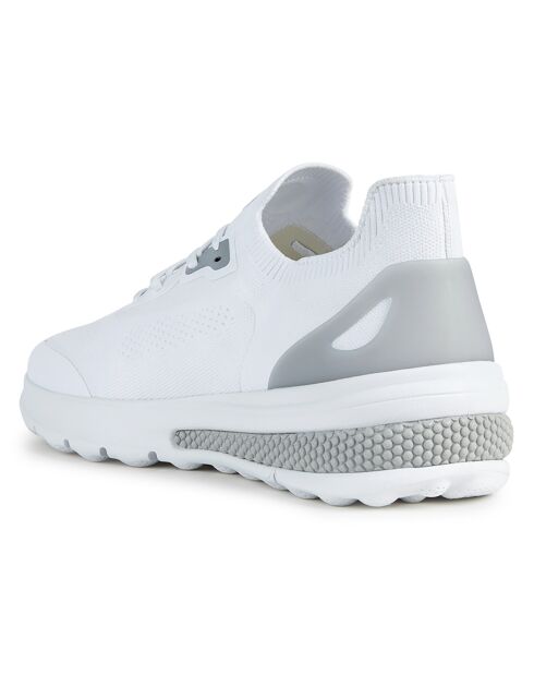 Baskets Spherica blanches