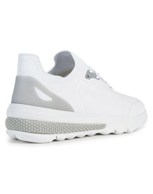Baskets Spherica blanches