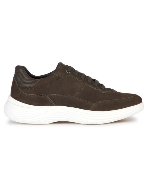 Baskets en Cuir Fluctis militaire