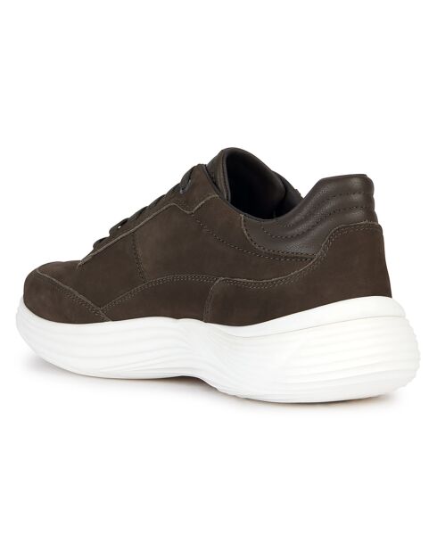 Baskets en Cuir Fluctis militaire