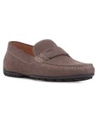Mocassins en Velours de Cuir Moner gris colombe