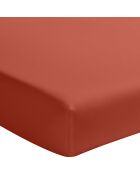 Drap Housse uni 100% Percale de Coton - Bonnet 30 cm terre de sienne